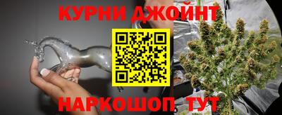 гашик Бузулук