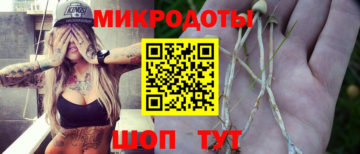 Псилоцибиновые грибы GOLDEN TEACHER Лесной